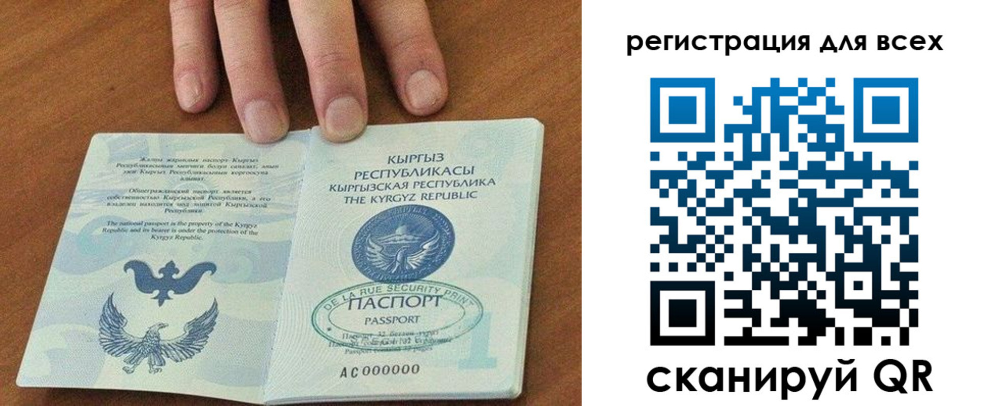 прописка для школы в Балашихе