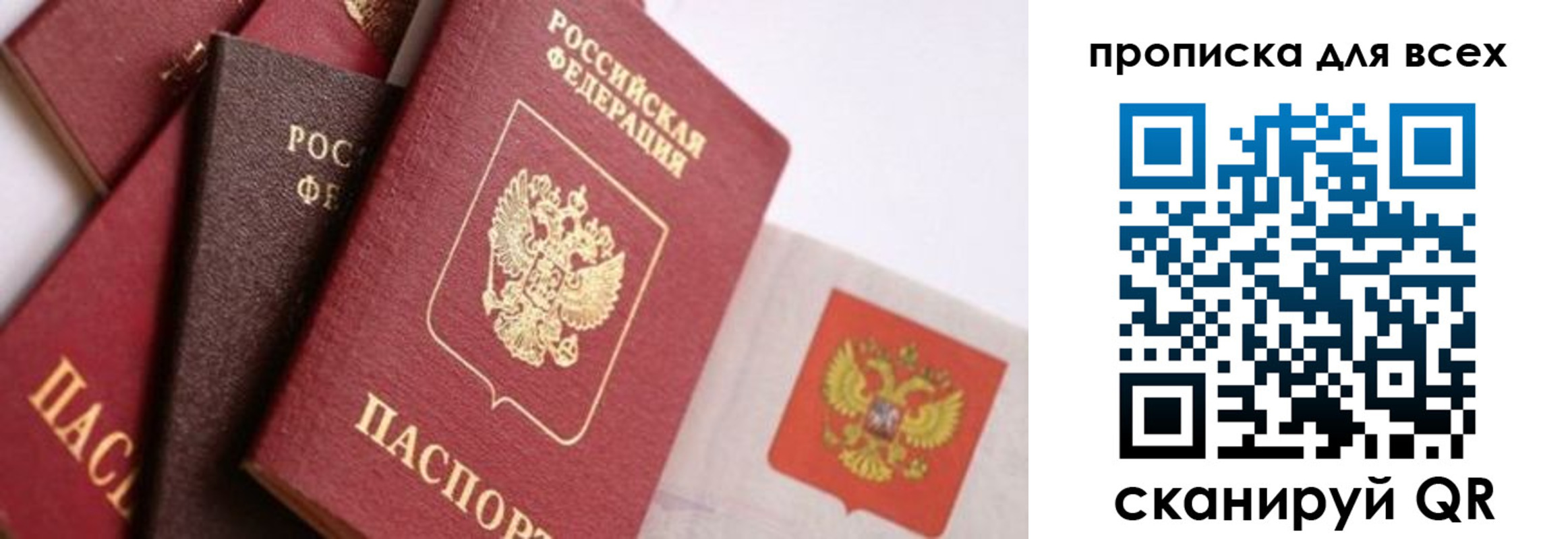 временная регистрация поиск в Балашихе
